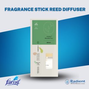 Fragrance Stick reed diffuser 80 ml